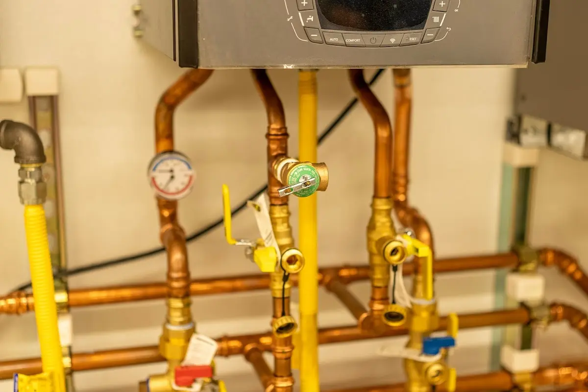 Licensed technician providing Emergency Plumbing for a homeowner in Homer